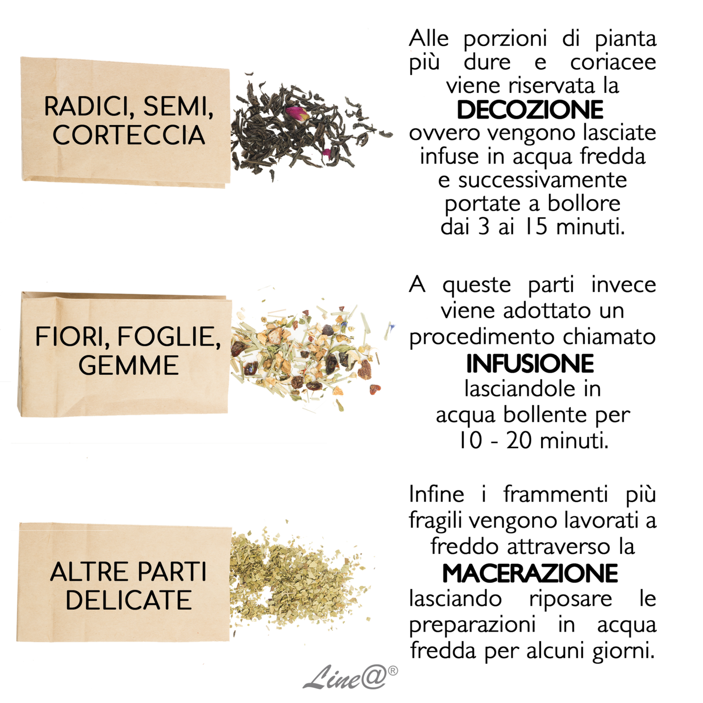 Decotto Snellente SLIM UP 500ml