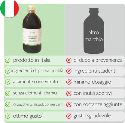 Decotto Garcinia BURN UP 500ml