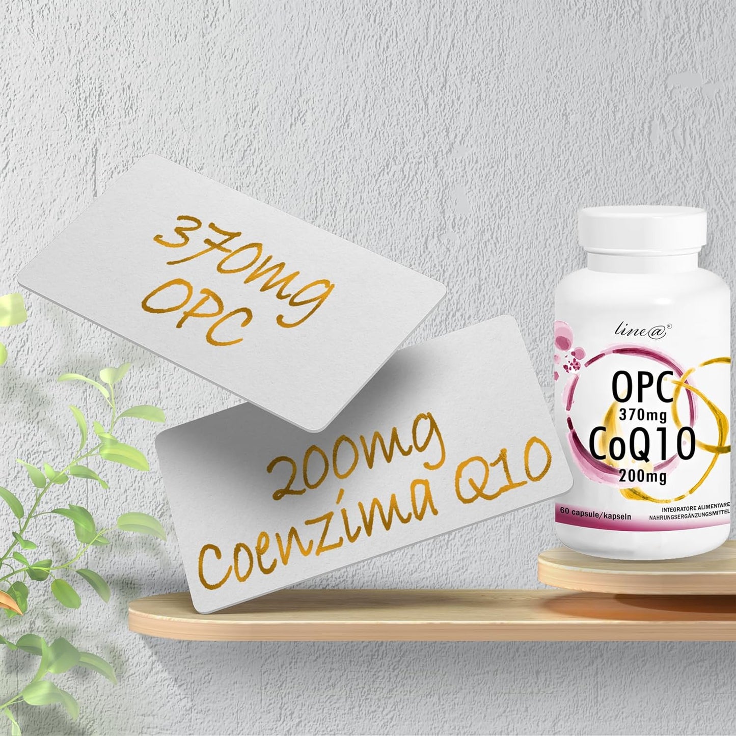 OPC + CoQ10 (60 capsule)