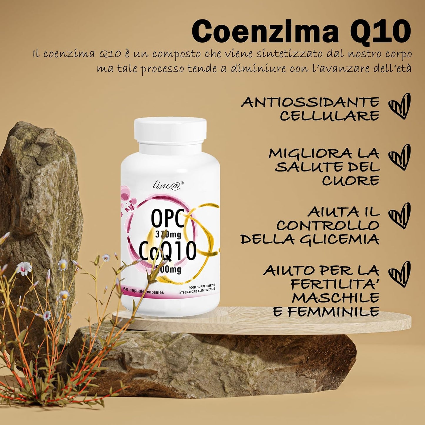 OPC + CoQ10 (60 capsule)