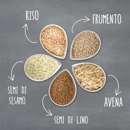 8 Brioche Proteiche ai Cereali