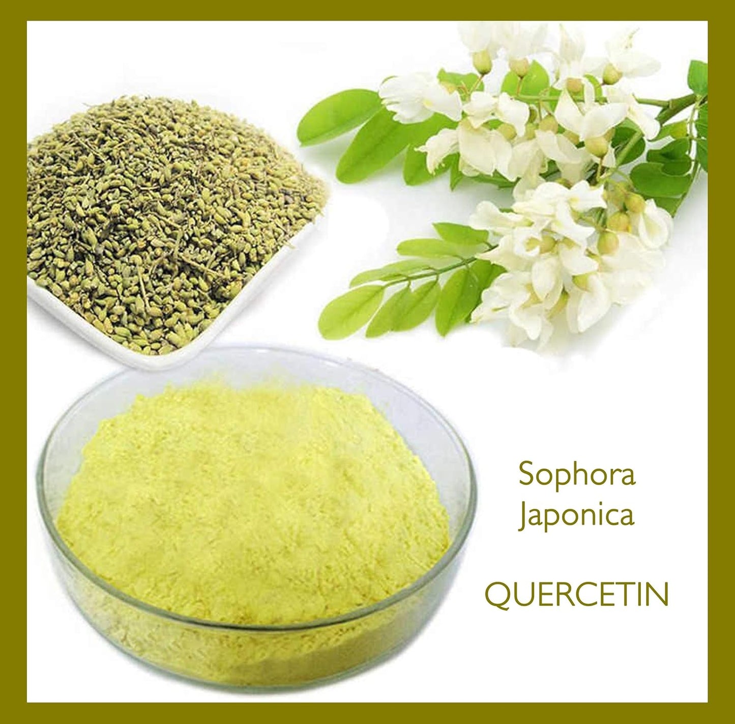 QUERCETIN Plus + VITAMINA C (120 capsule)