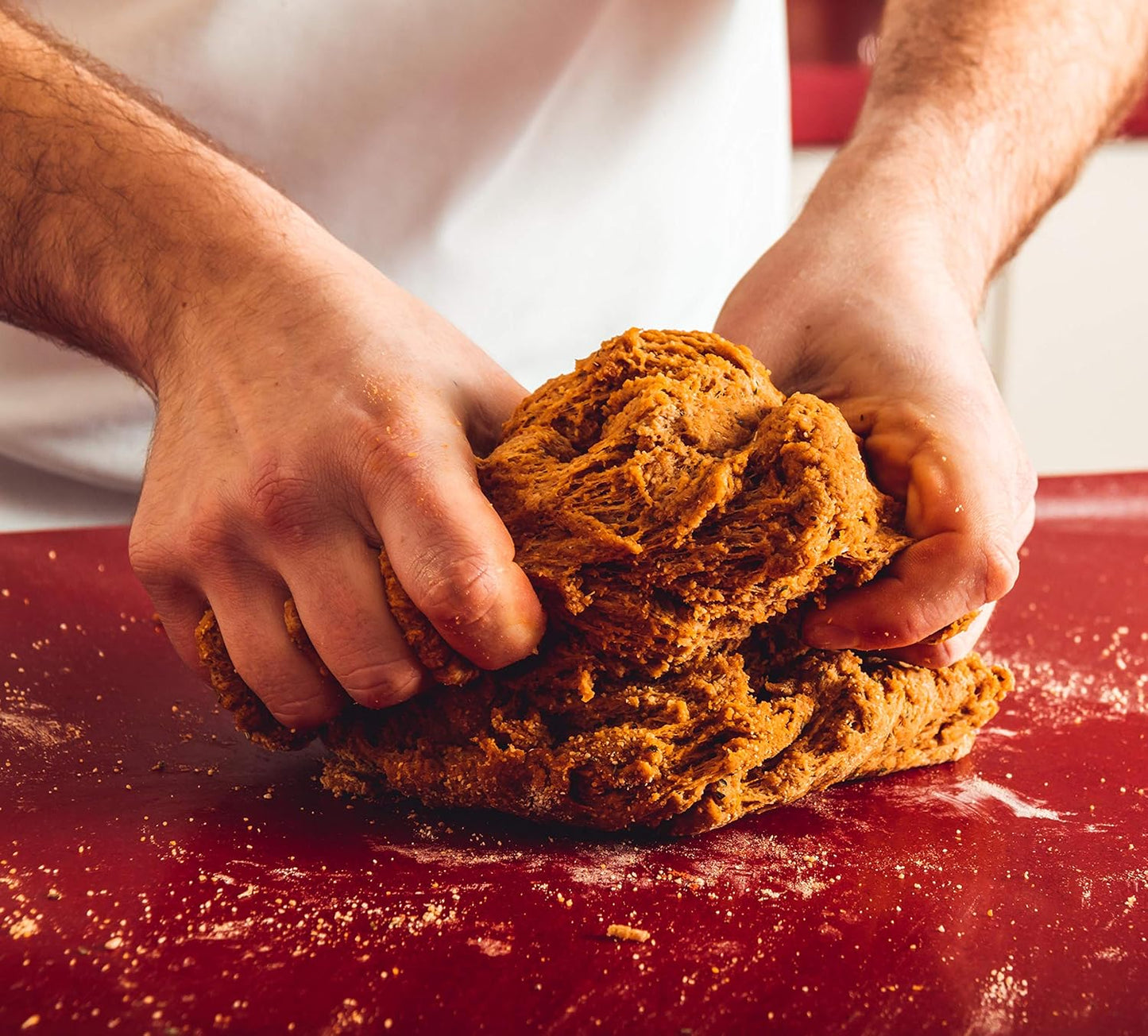 Burger di Soia alla provenzale