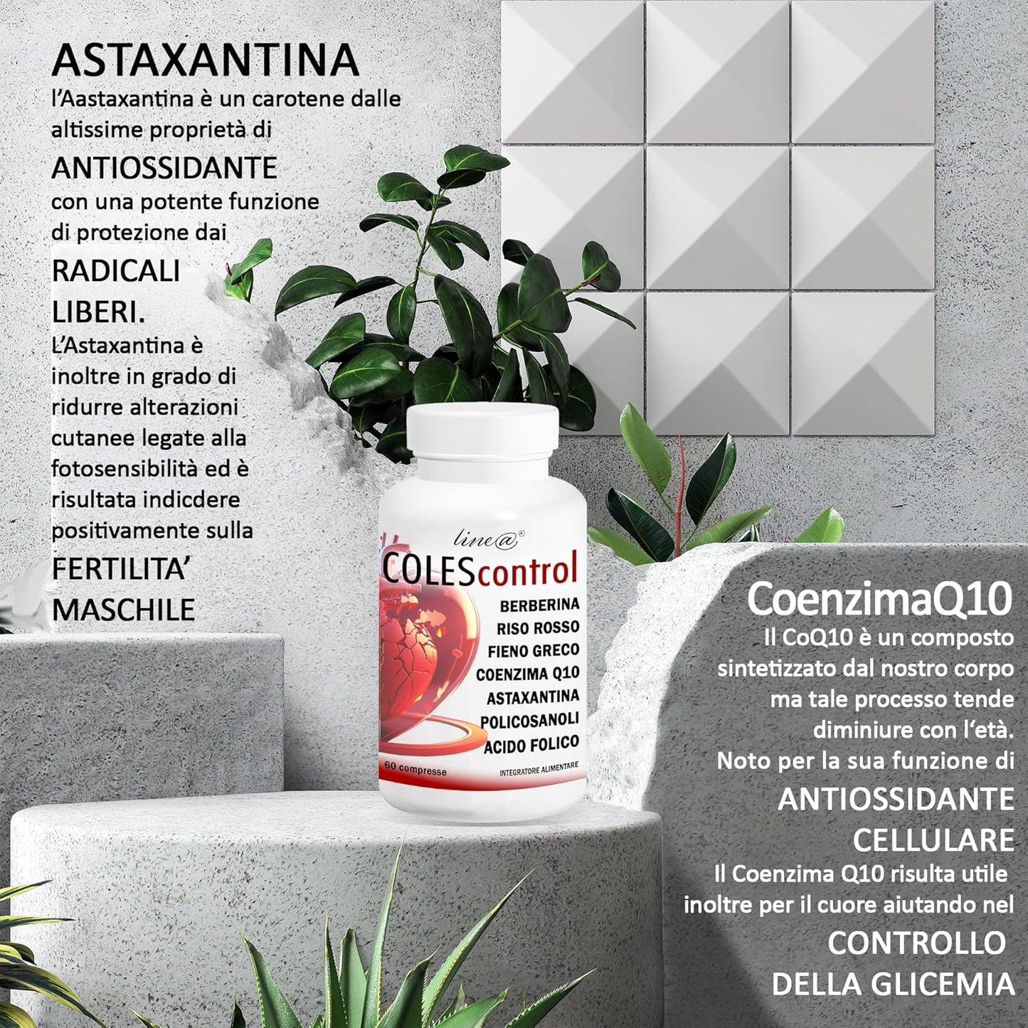 COLEScontrol (60 compresse)