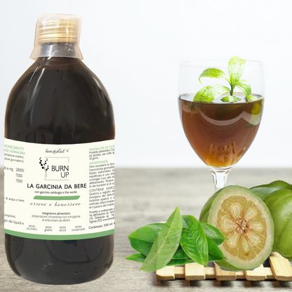 Decotto Garcinia BURN UP 500ml