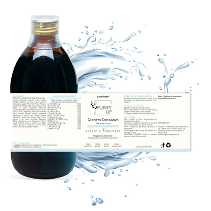 Decotto Depurativo PURIFY UP 500ml