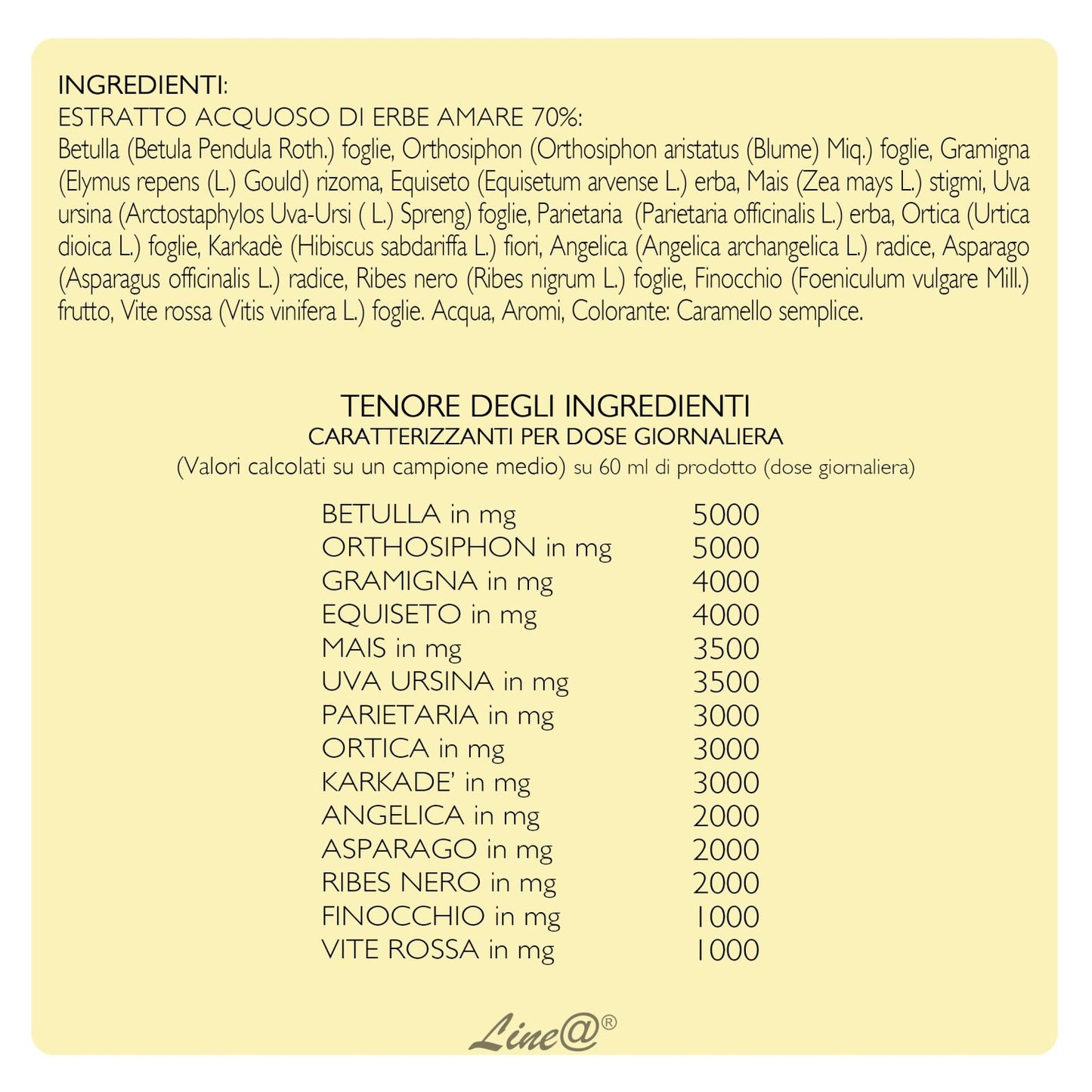 Decotto Drenante DRAIN UP 500ml