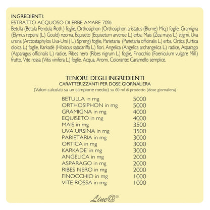 Decotto Drenante DRAIN UP 500ml